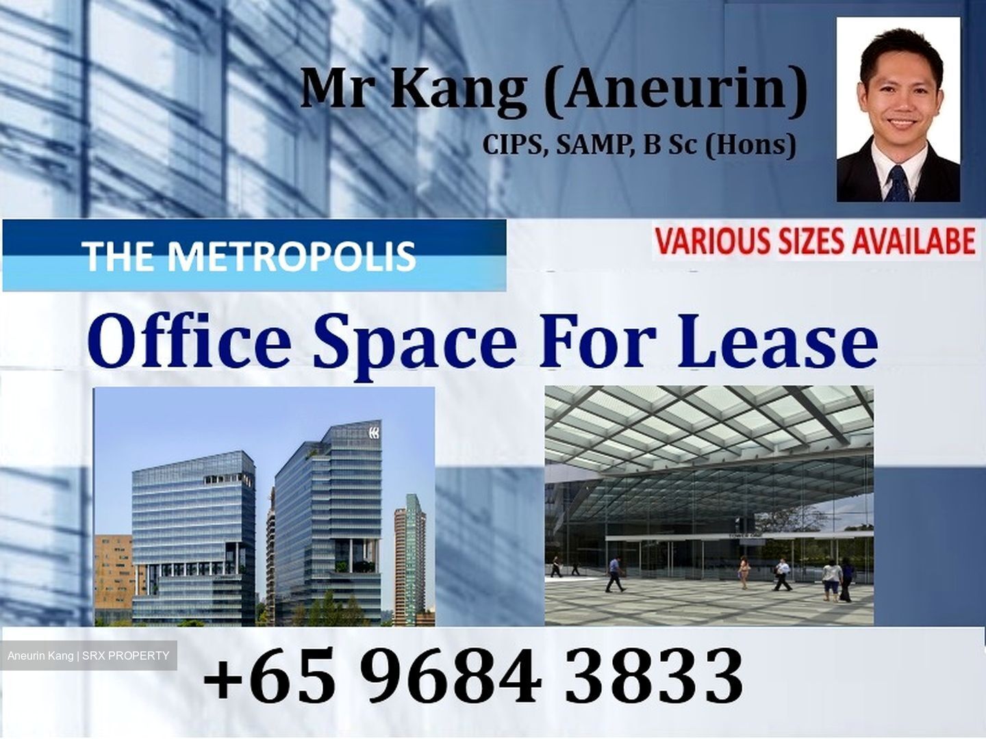 The Metropolis (D5), Office #566595481